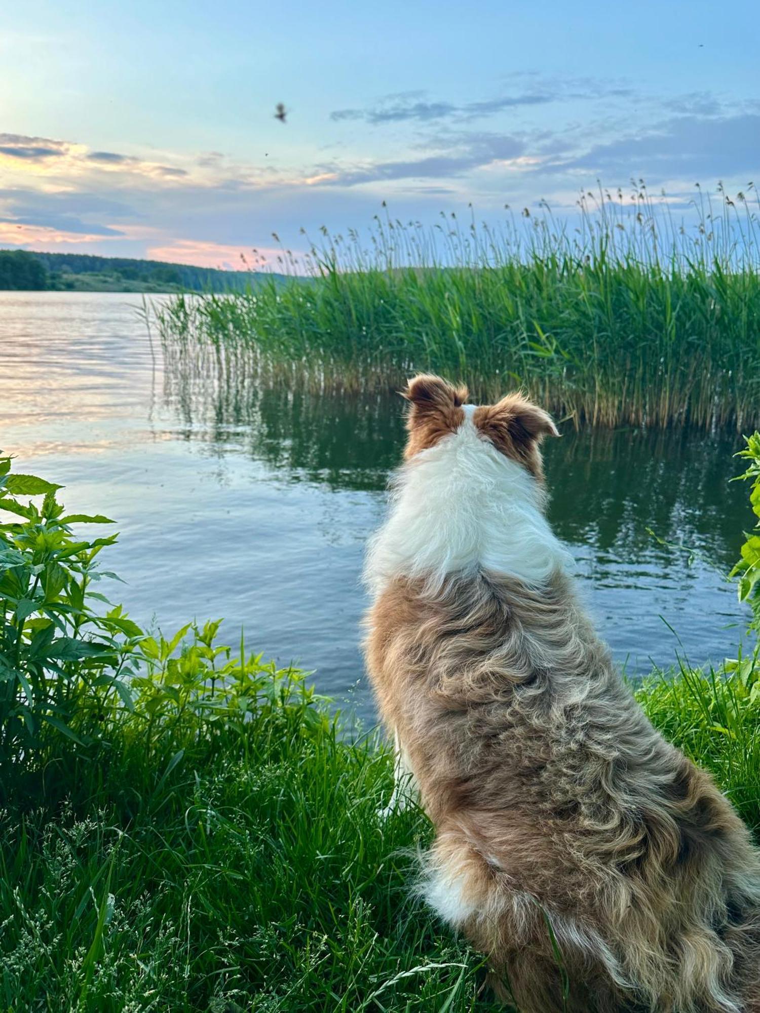 Pensjonat Rybical Ryn  Dış mekan fotoğraf